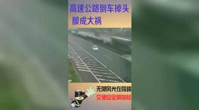 高速公路倒车调头，酿成大祸