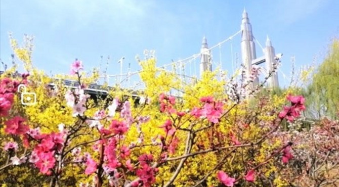 作为首都“后花园”，昌平滨河公园鲜花怒放，惹得游人流连忘返