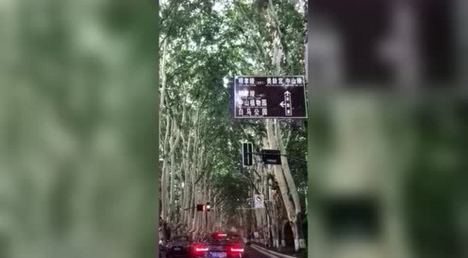 南京中山陵，总统府，明皇城