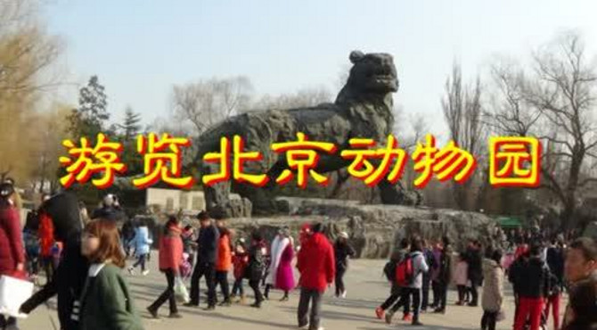 游览北京动物园