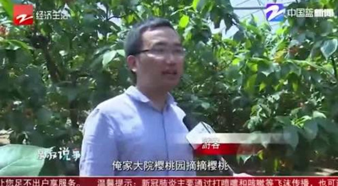 春光明媚 樱桃采摘正当时 不少游客赶去樱桃园体验采摘和品尝的乐趣