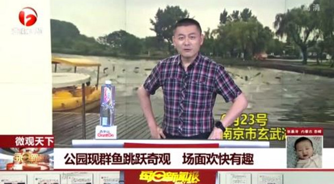 欢快有趣！玄武湖公园现奇观：大量鱼儿跳出水面如“鱼跃龙门”