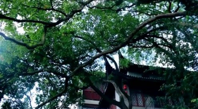 奉化溪口蒋介石故居