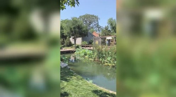 北京前门三里河公园，人少景美，环境好