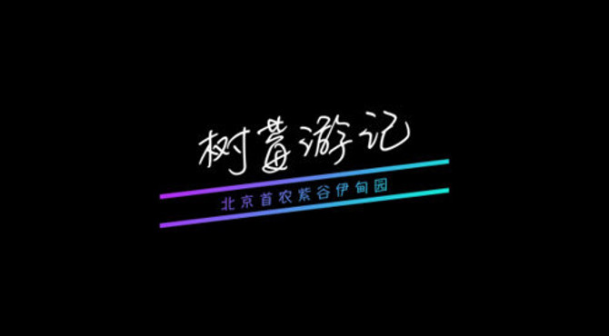 树莓游记｜紫谷伊甸园