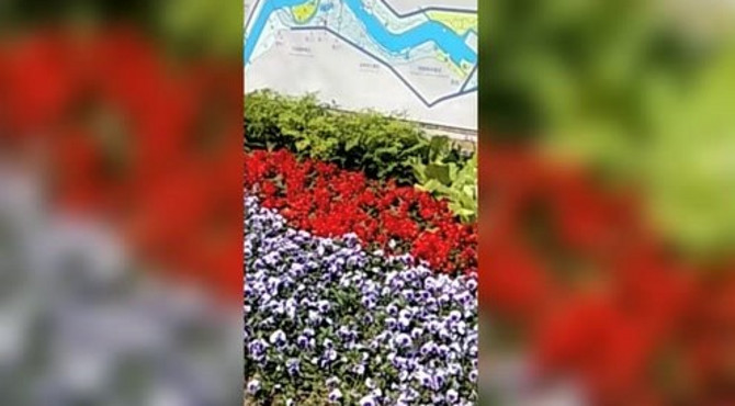 逛大运河公园