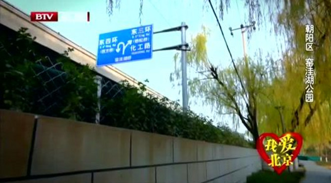 我爱北京 朝阳区 窑洼湖公园