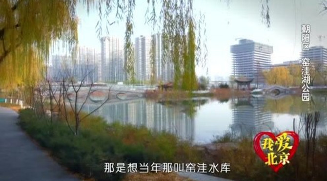 我爱北京：朝阳区窑洼湖公园的华丽转变