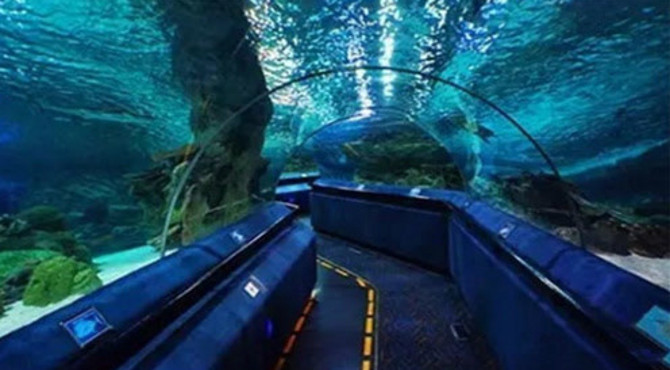 探秘北京富国海底世界海洋水族馆的神奇