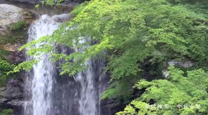 杨青《半山听雨》