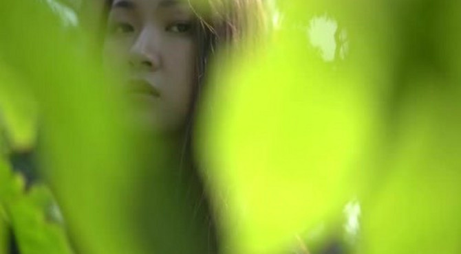 北京植物园温室大片