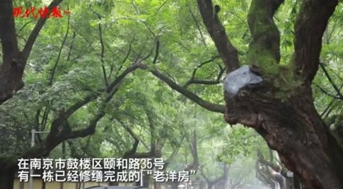 86岁使馆旧址变身文化交流中心，南京颐和路将开放109处院落