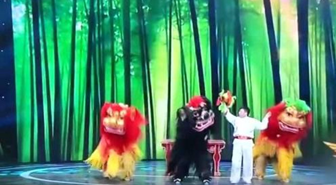 国家级非遗—北京白纸坊舞狮