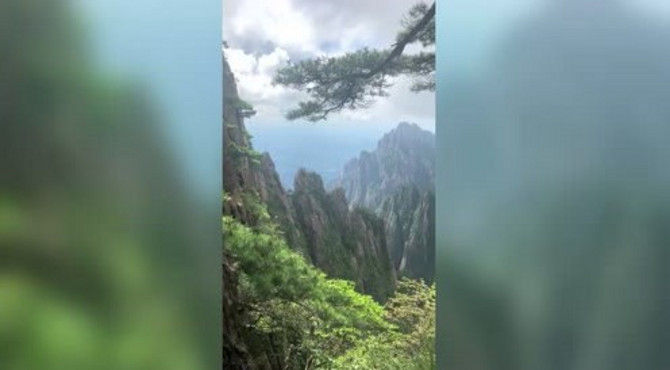 黄山的迎客松！
