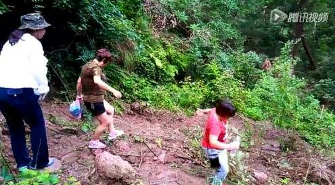 晨起上浦江通济湖保安寺