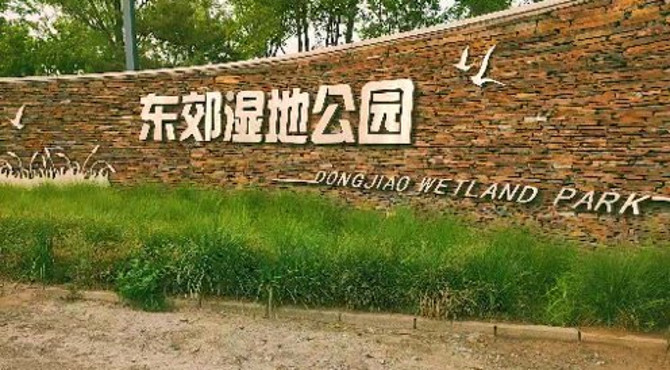 20200626-北京公园-东郊湿地公园