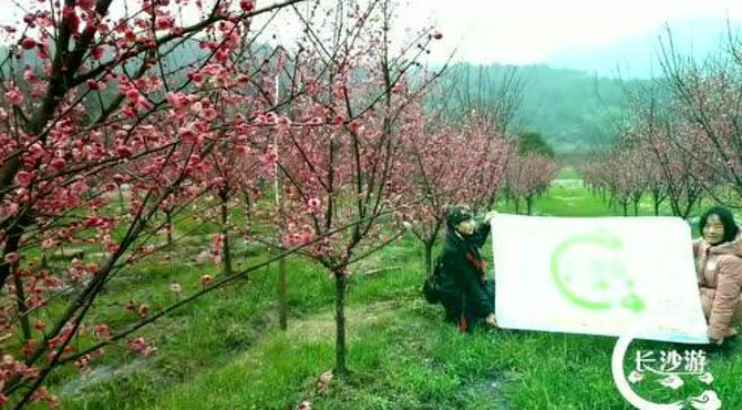 长沙植物园梅园