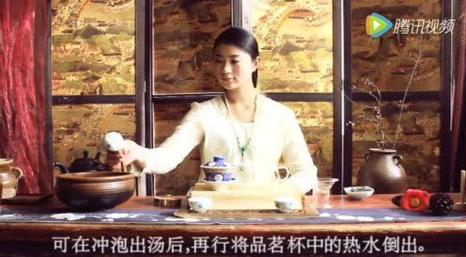 百木园特色普洱生茶冲泡