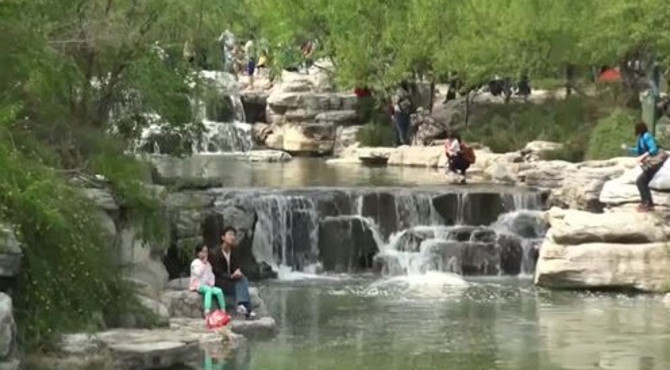 太美了 北京植物园-麋鹿苑