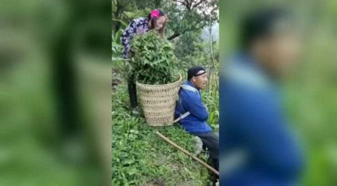 八戒背媳妇，背回家往猪圈里面一倒