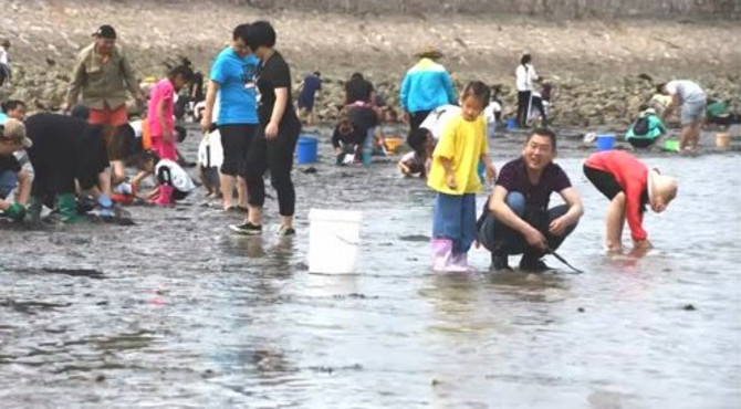 曹妃甸纳潮河赶海