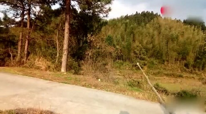 风水宝地 《翠屏峰开帐穿心出脉之龙穴》大家猜猜出什么官贵?