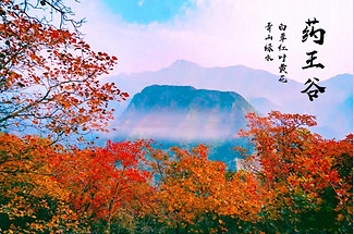 【北京一周一山·泗马沟药王谷】6公里休闲徒步丨登高赏红叶+登山泗马沟
