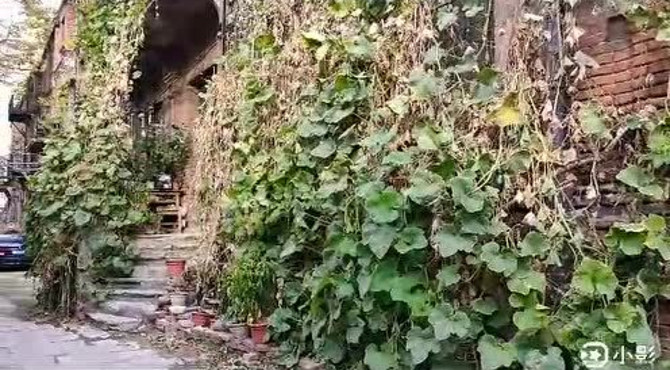 北京东城区校尉胡同