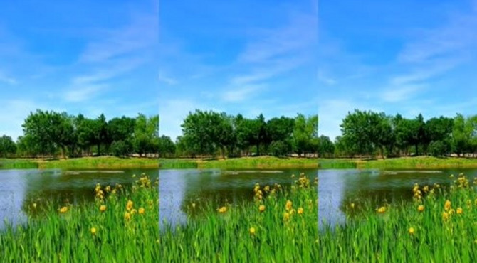 北京东郊湿地公园，景色秀美