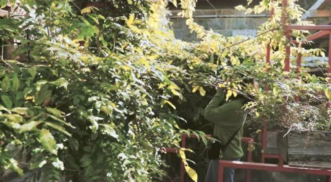 听水阁八间房