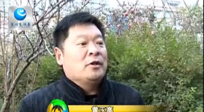 北冯村的小康路