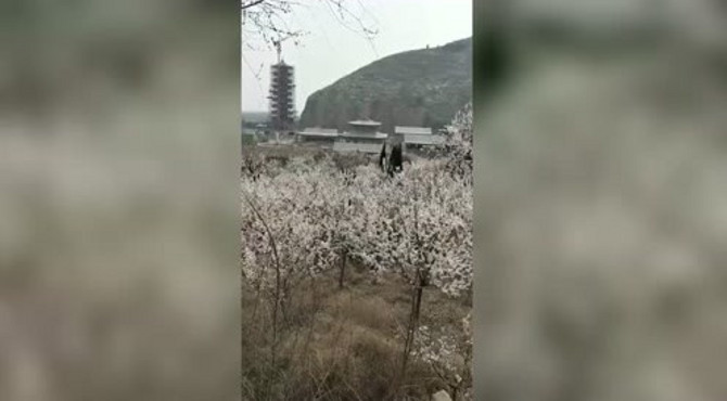 兴建中的法兴寺