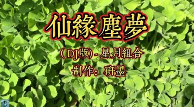 《仙缘尘梦》星月组合（DJ版）超好听