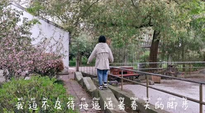 春游南京凤凰山公园