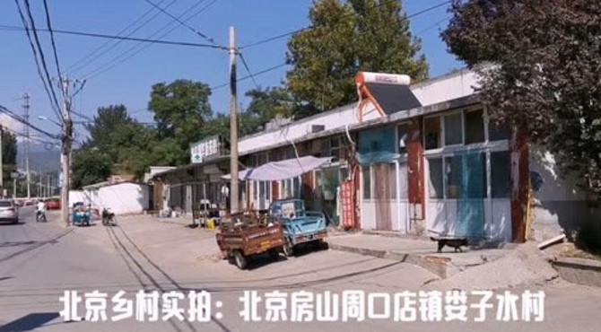 北京房山周口店镇娄子水村，一片丰收美景，村庄内果树柿子满街头