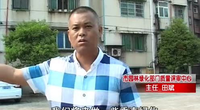 绿荫行动社区公园