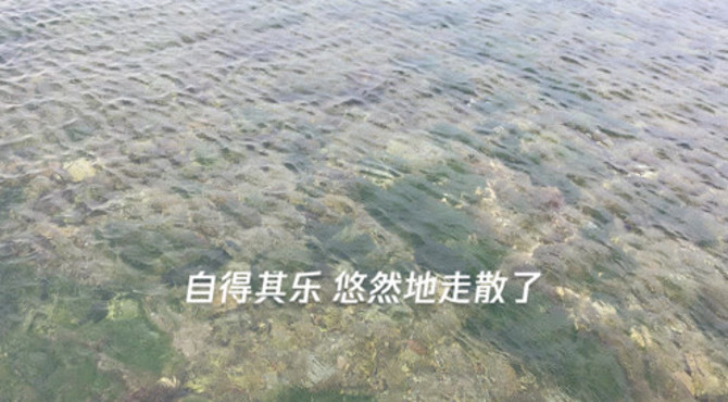 八月湖水平，涵虚混太清