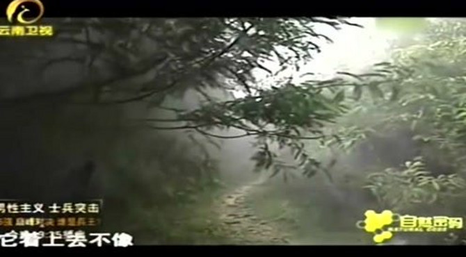 惊马石的后面是传说会吼叫的山谷，摄像组决定进去，为大家解谜