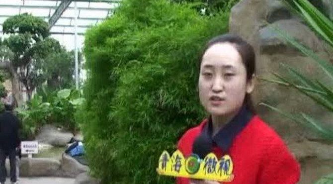 人民公园西花房属于你的乐园