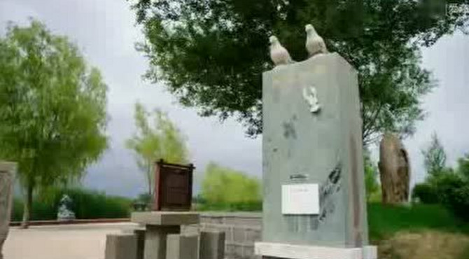 九龙迷人的风景