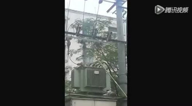 街心公园