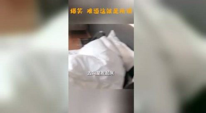 爆笑：难道这就是所谓的“金屋藏很多娇”