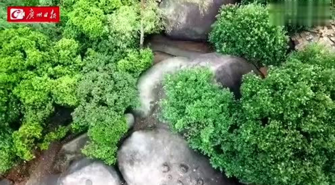 探秘广州脊 专家现场为你揭秘火炉山“雷劈石”是如何形成的 火炉山