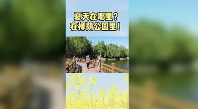 蓝天白云，绿树红花。柳荫公园的夏天怎么这么美呀！