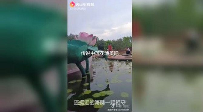 传说中莲花池