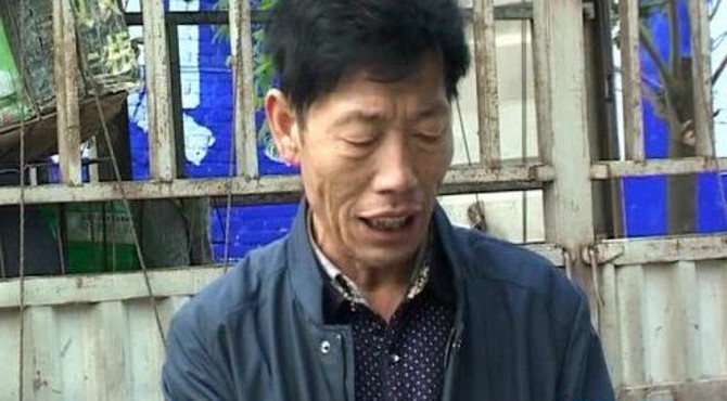 梅桥人的黄瓜致富经