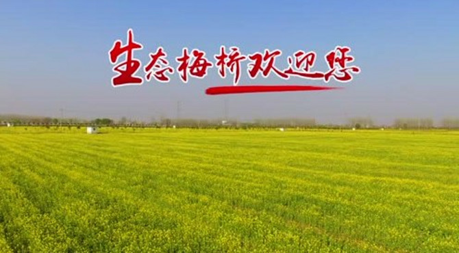 生态梅桥欢迎您