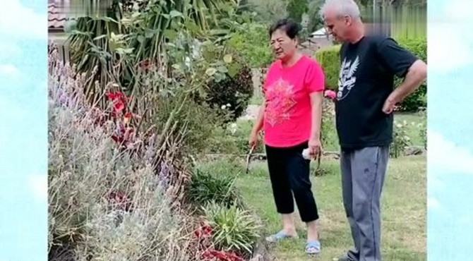 中国丈母娘帮洋女婿打理花园，接下来的一幕，皮特都懵了