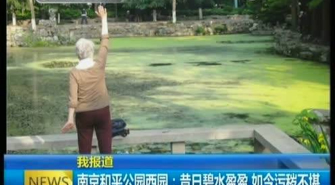 我报道：南京和平公园西园——昔日碧水盈盈  如今污秽不堪