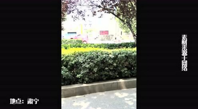 肃宁两起离奇交通事故